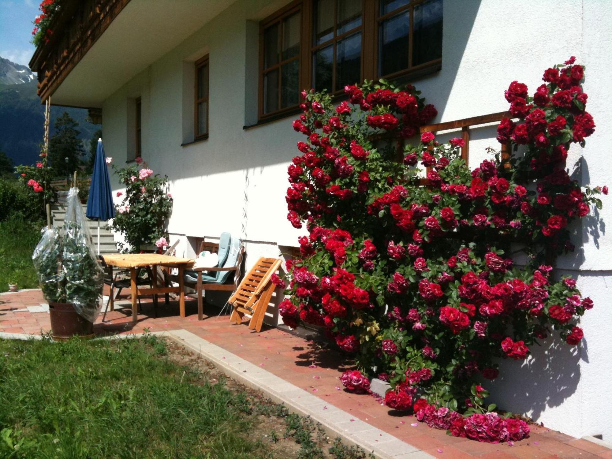 Bacherhof Фирген Экстерьер фото